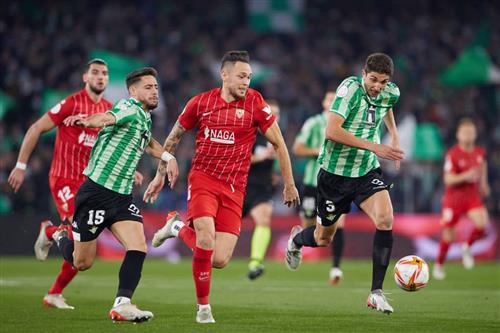 What's a Bingo Game?